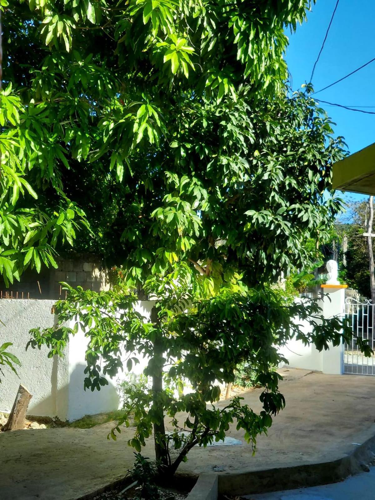 Cas Bed And Breakfast Corral Spring ภายนอก รูปภาพ