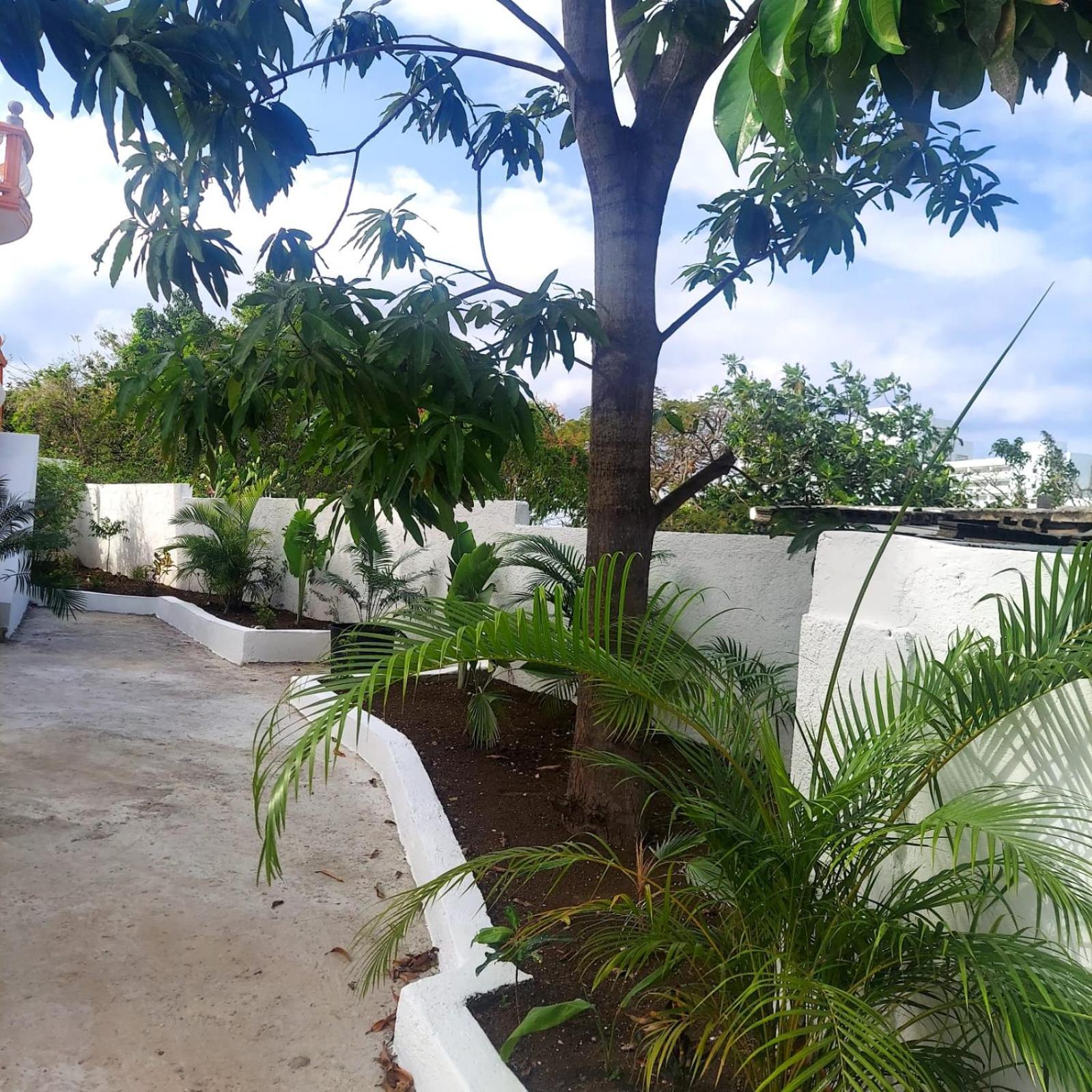 Cas Bed And Breakfast Corral Spring ภายนอก รูปภาพ